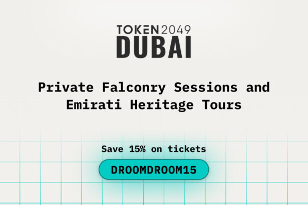 Private Falconry Sessions and Emirati Heritage Tours after TOKEN2049 Dubai